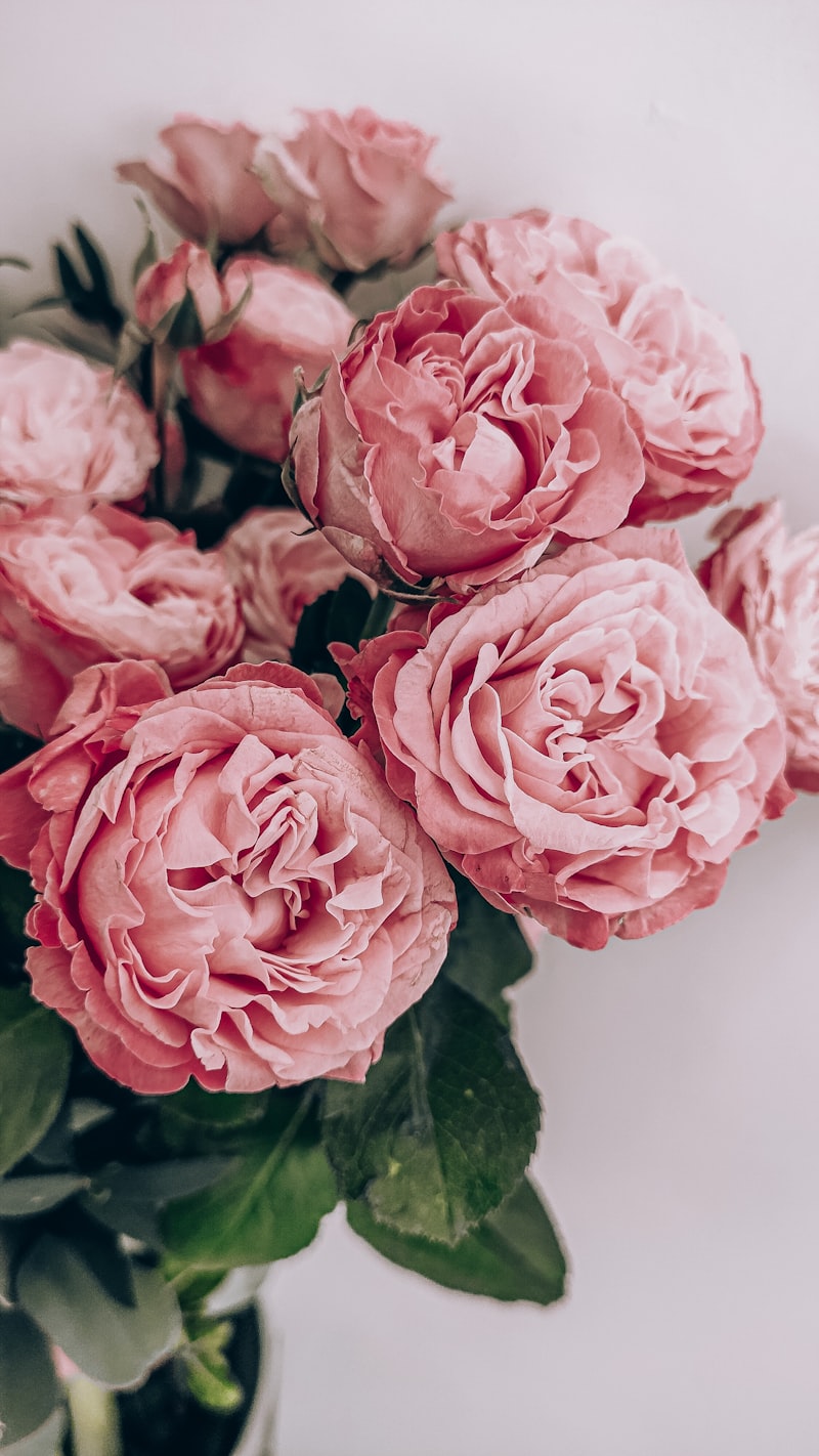 Buquê 12 Rosas Rosé